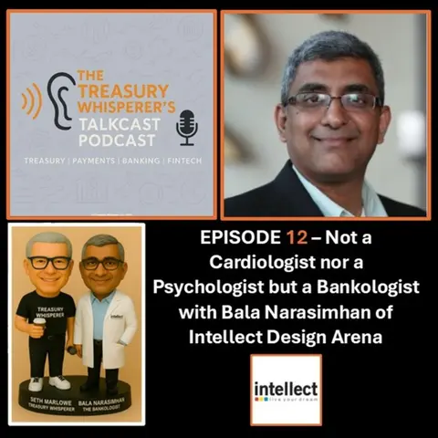 Episode 12 - Not a Cardiologist nor a Psychologist but a Bankologist with Bala Narasimhan (Intellect Design Arena)