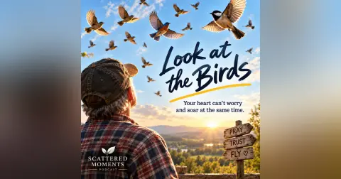 They Don't Worry, They Just Bird