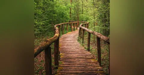 Planning Your Path: How a Written Financial Plan Changes Everything