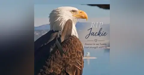 Thank You, Jackie