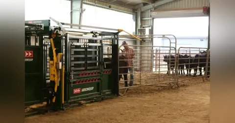 Dustin Questions, Ultrasound Guidelines Council, Pre-Processing Check, Tips for Pre-Processing Facility Check, New Facility Guidelines, Facility Costs