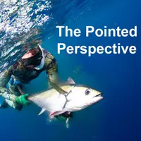 The Pointed Perspective
