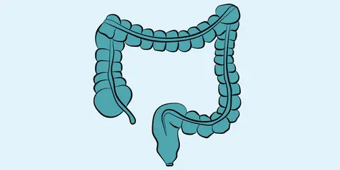 Digital Rectal Exam/Perianal Abscess