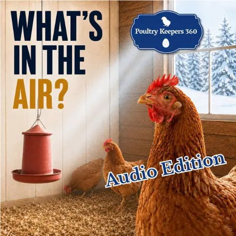 Is Your Chicken Coop Ready For Winter? Don't Forget The Air!