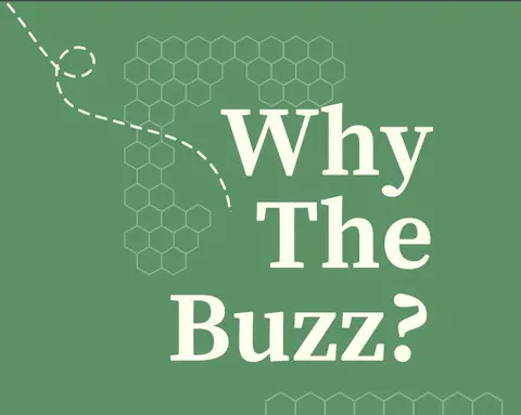 Why The Buzz? | Quantum Cybersecurity Explained: Are Your Systems Ready for the Quantum Storm?