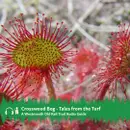Crosswood Bog – Tales from the Turf Audio Guide