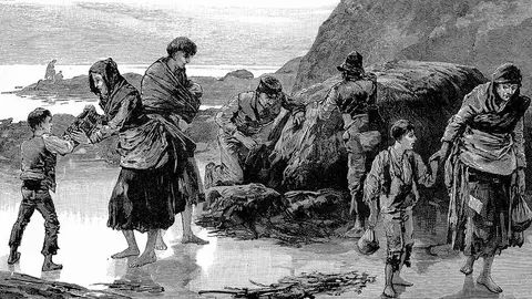 The Irish Holocaust