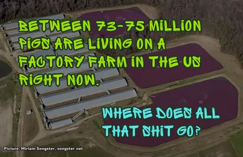 Pink Poop Lagoons: Bad for Literally Everyone
