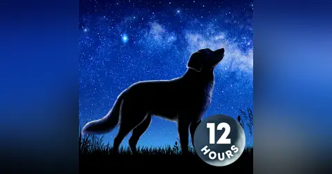 White Noise for Dogs 12 Hours | Separation Anxiety + Calm Barking