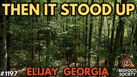 Massive 7-Foot Bigfoot Straddles a Barbed-Wire Fence in North Georgia