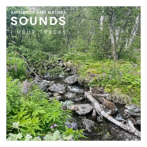 Ambience from a mountain stream in Jotunheimen Norway (1 hour)