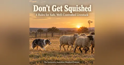 Don't Get Squished: 4 Rules for Safe, Well-Controlled Livestock