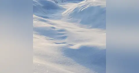 Winterizing Your Life Up North