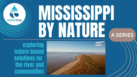 Mississippi By Nature: A Series