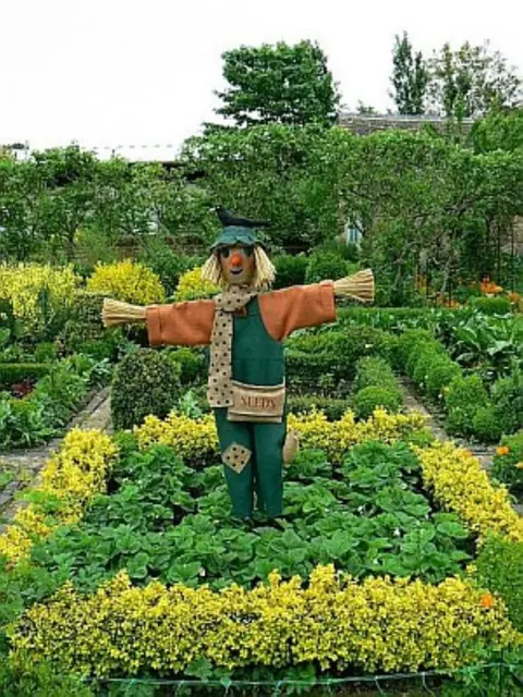 Scarecrows in a Cucumber field