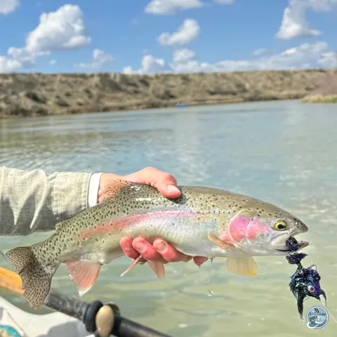 S6, Ep 53: On the Water: Dustin White on Early Hatches and Dive Bar Delights