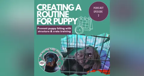 Episode 2: Routine For Your Puppy