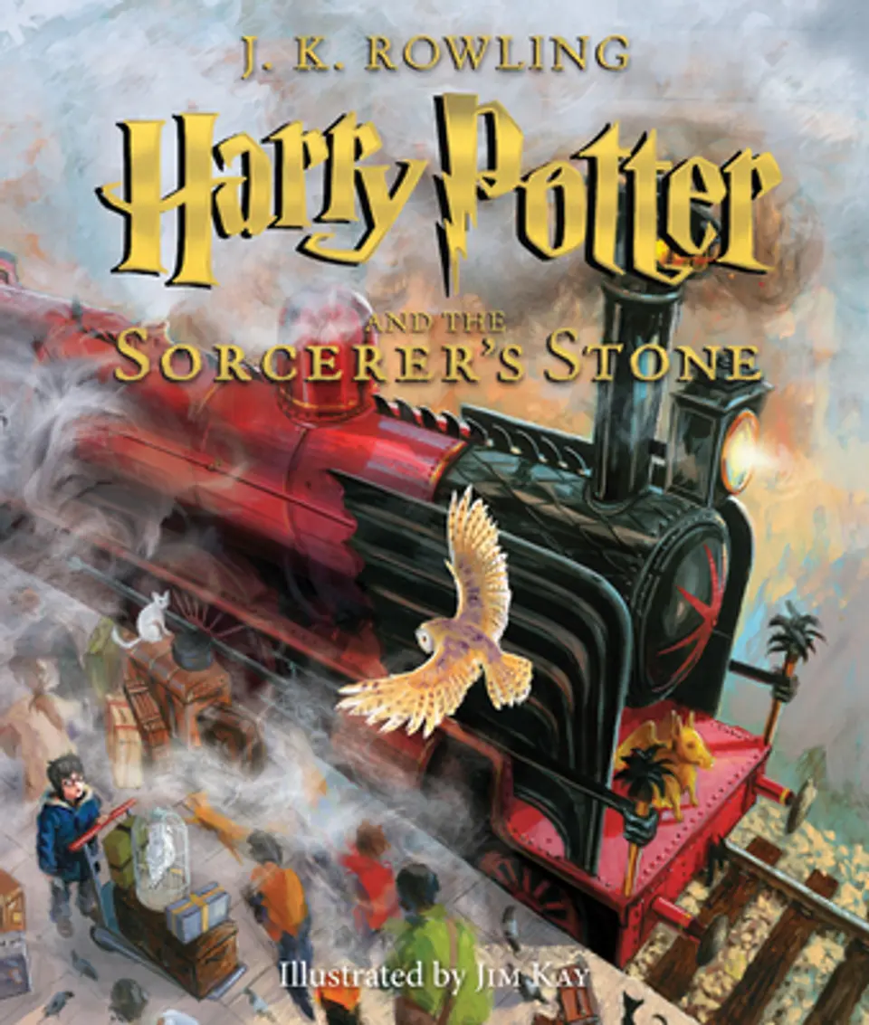 Harry Potter and the Sorcerer's Stone book Harry Potter and the Sorcerer's Stone book