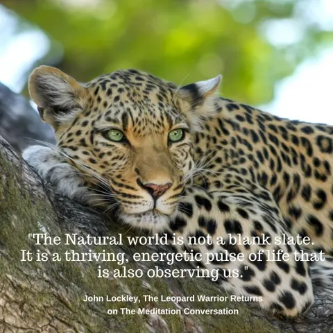 055. John Lockley - The Leopard Warrior Returns