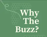 Why The Buzz? | Quantum Cybersecurity Explained: Are Your Systems Ready for the Quantum Storm?