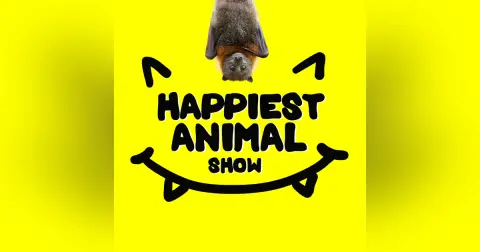Halloween Animals (with special guest Skip Hobbie)