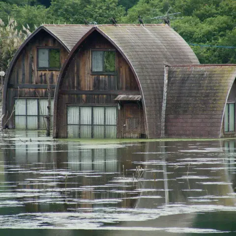 Chaos and Resilience: Surviving a Hurricane in Asheville, NC
