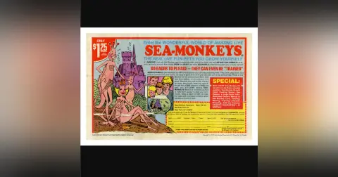 Comic Book Advertisements