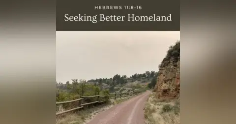 Seeking Better Homeland