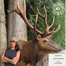 EP 130: The Bear Necessities with Jenna McRae