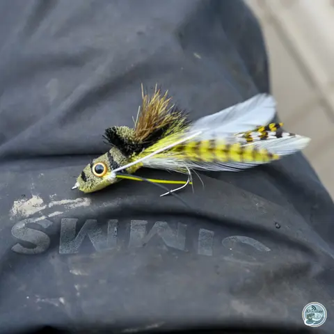 S8, Ep 68: The Fall Transition: Matt Reilly's Insights on Bass Behavior and Bug Fishing Strategies