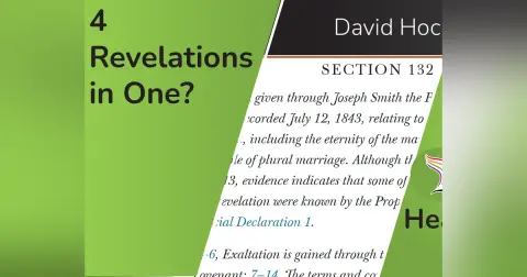 Polygamy & S America Revelations (David Hocking 4 of 4)