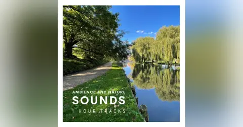 City ambience: Sounds along the river in Odense, Denmark (1 hour)