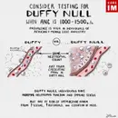 #185 Neutropenia: 5 Pearls Segment
