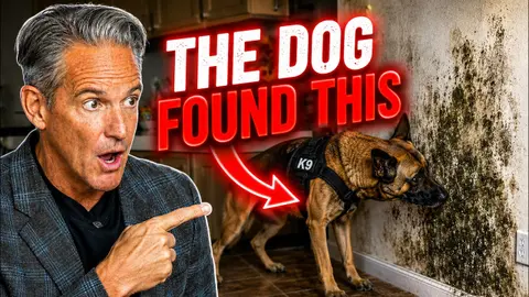 SHE TRAINED HER DOG TO FIND WHAT DOCTORS COULDN'T