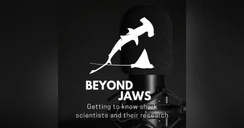 Beyond Jaws