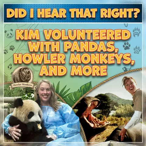 Kim volunteered with Pandas, Howler Monkeys, and more