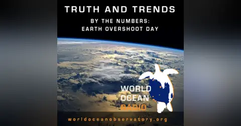 Truth and Trends in the Numbers