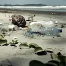 Unpolluting Earth