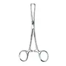 History of Forceps