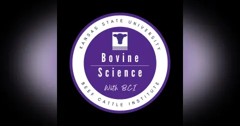Can Bull Behavior Predict Breeding Success? Using Technology to Identify Top Sires