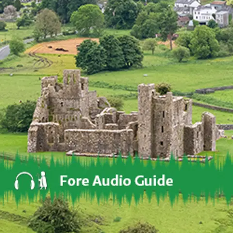 Fore Audio Guide