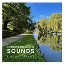 City ambience: Sounds along the river in Odense, Denmark (1 hour)