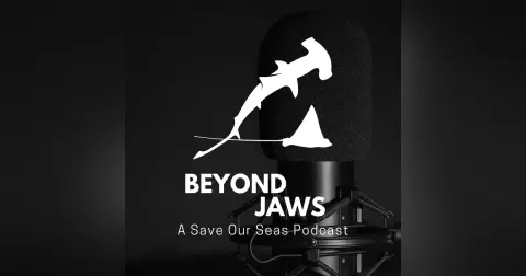21: Pursuing a sensory ecology of elasmobranch career with Dr. Christine Bedore