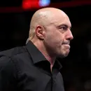 Re-opening America and the Joe Rogan Experience.