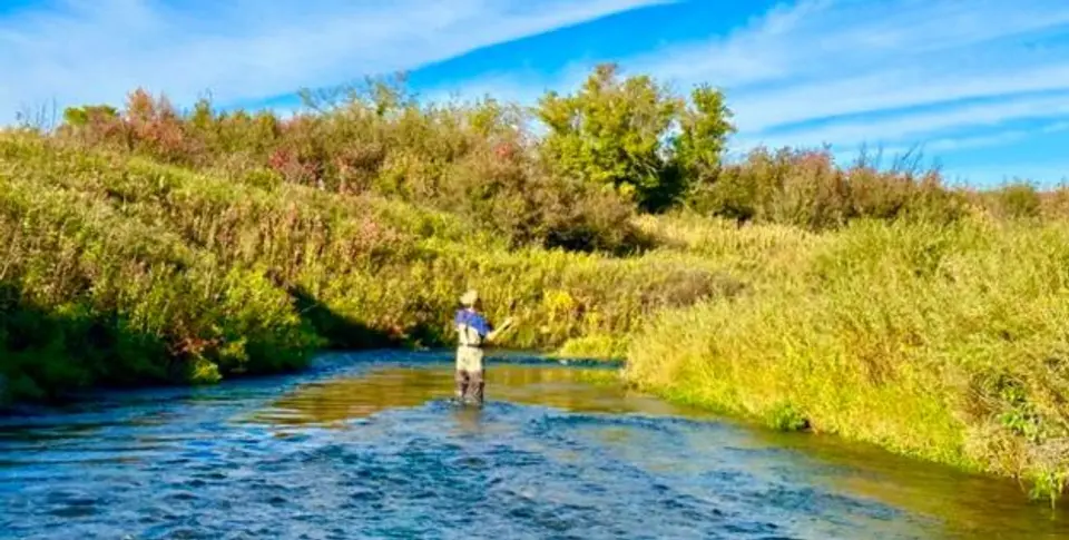 central MT (1).jpg Big Spring Creek Lewistown Montana fly fishing trout