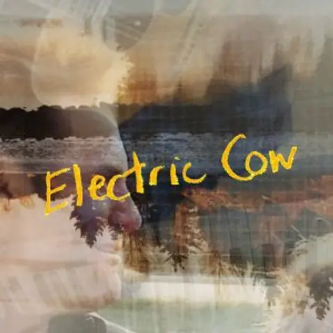 Electric Cow