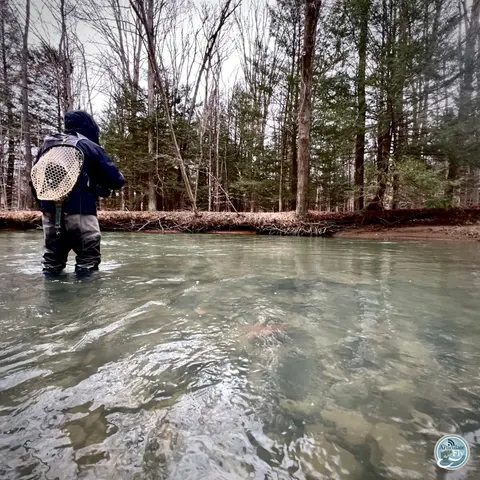 S6, Ep 16: Central Pennsylvania Fishing Report with TCO Fly Shop