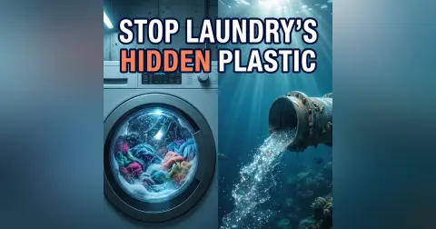 The 90 Percent Fix Hiding in Your Laundry Room