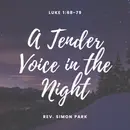 A Tender Voice in the Night