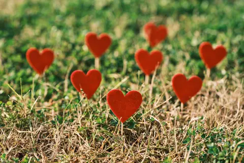 When Systems and Heart Grow Together